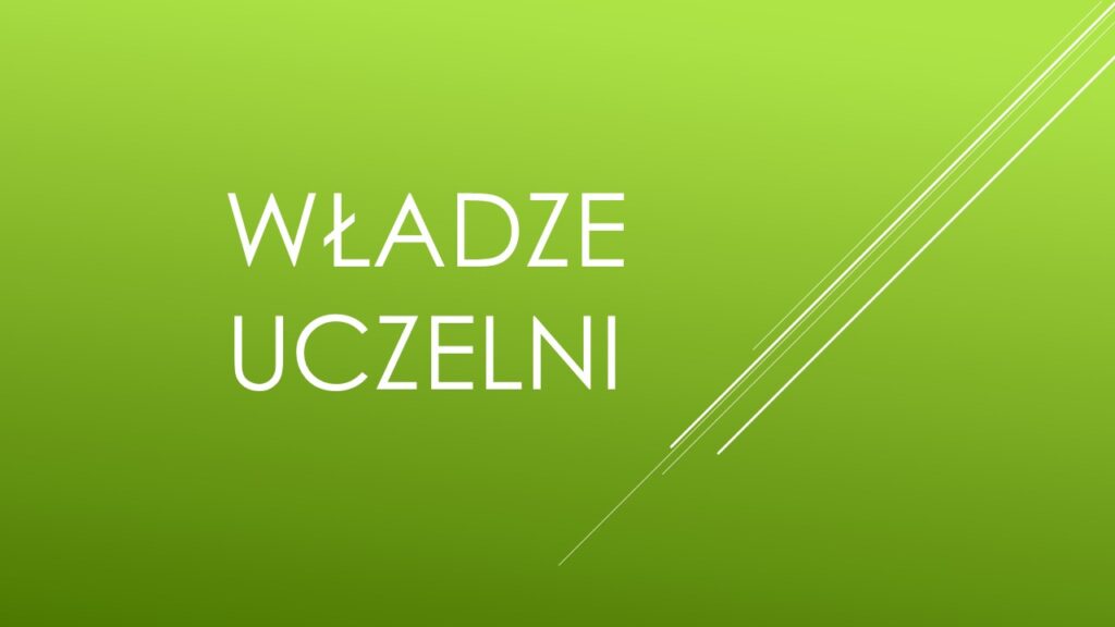 Władze uczelni -widżet