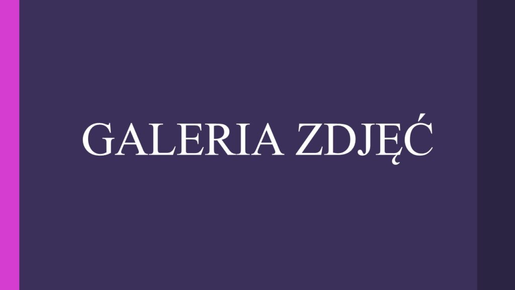Galeria zdjęć -widżet