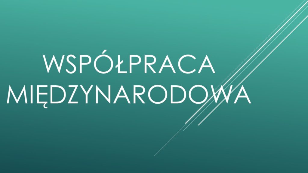 Współpraca międzynarodowa -widżet